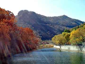 新澳天天开奖资料大全旅游团，铑粉价格